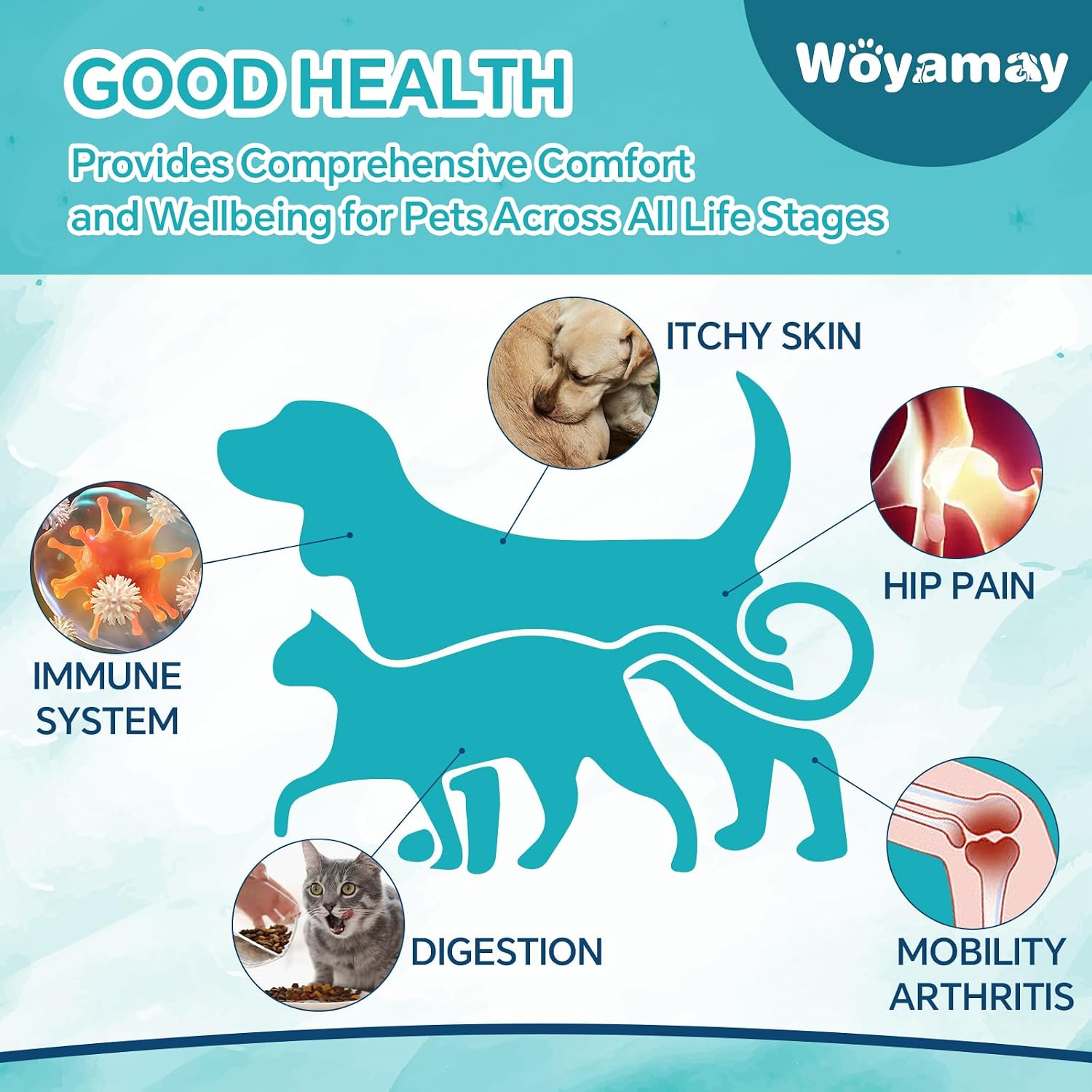 Woyamay Camling Oil for Dogs and Cats – Rich in Omega 3, 6, 9 and Organic Extract (4 Pack) - görsel 6