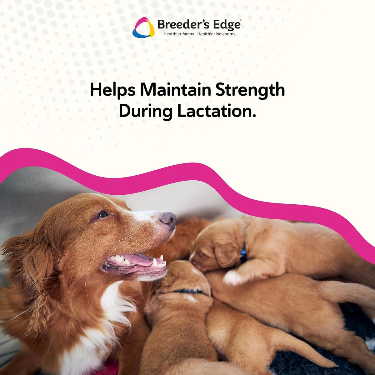 Breeder’s Edge Oral Cal Plus Powder, Calcium & Vitamin D₃ Whelping Supplement for Nursing Dogs and Cats, Supports Healthy Bones, Teeth & Lactation, 300g - görsel 4