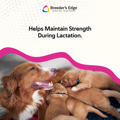 Breeder’s Edge Oral Cal Plus Powder, Calcium & Vitamin D₃ Whelping Supplement for Nursing Dogs and Cats, Supports Healthy Bones, Teeth & Lactation, 300g