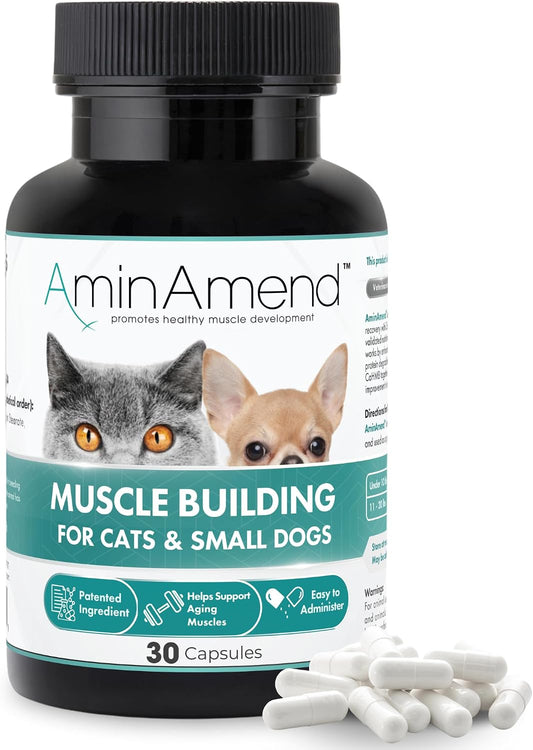 AminAmend Muscle Support for Small Dogs and Cats with CaHMB and Vitamin D3 – 30 Capsules