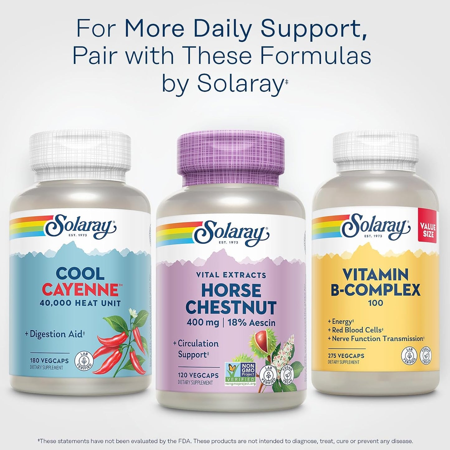 SOLARAY Horse Chestnut Extract 400 mg - Standardised to 72 mg Aescin with Butcher's Broom - Vein & Circulation Support - Vegan, Non-GMO - 120 Vegetarian Capsules - görsel 6