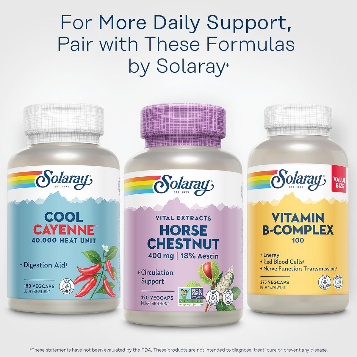 SOLARAY Horse Chestnut Extract 400 mg - Standardised to 72 mg Aescin with Butcher's Broom - Vein & Circulation Support - Vegan, Non-GMO - 120 Vegetarian Capsules - görsel 6