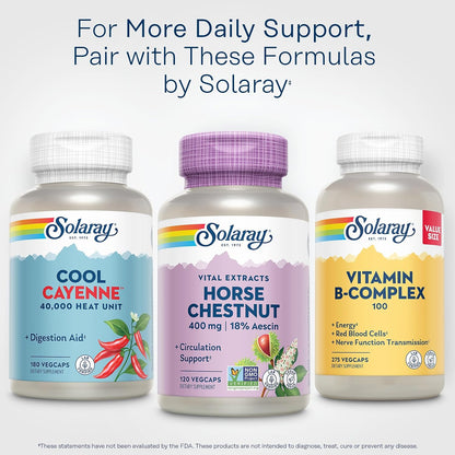 SOLARAY Horse Chestnut Extract 400 mg - Standardised to 72 mg Aescin with Butcher's Broom - Vein & Circulation Support - Vegan, Non-GMO - 120 Vegetarian Capsules