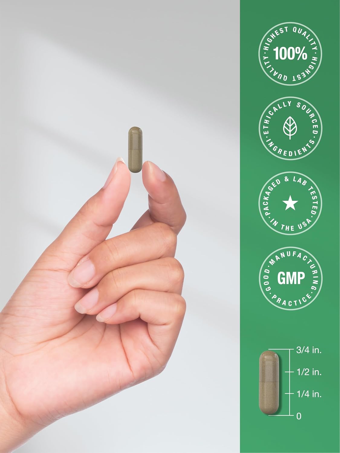 Horbaach Butchers Broom Capsules | 120 Capsules | Non-GMO, Gluten-free | Traditional Herb Root Extract Supplement - görsel 7