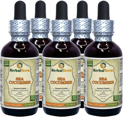 Sea Cucumber (Cucumaria Frondosa) Glycerite, Dried Sea Cucumber Alcohol-Free Liquid Extract 60ml