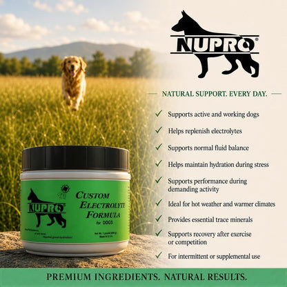 NUPRO Custom Electrolytes for Dogs | Supports Hydration and Fluid Balance – 454 g