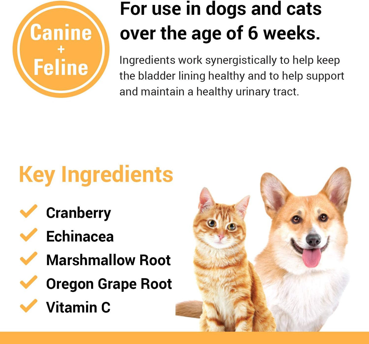 Vet Classics Cranberry Comfort Urinary Tract Supplement for Dogs and Cats, 120 Soft Chews - görsel 5