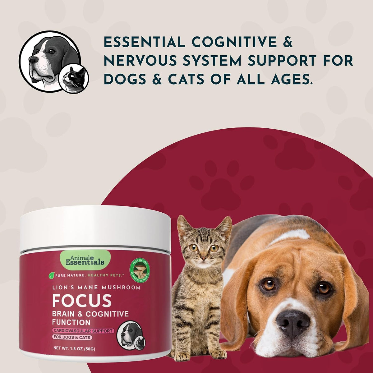 Focus Lion's Mane Mushroom Supplement for Dogs & Cats - görsel 8