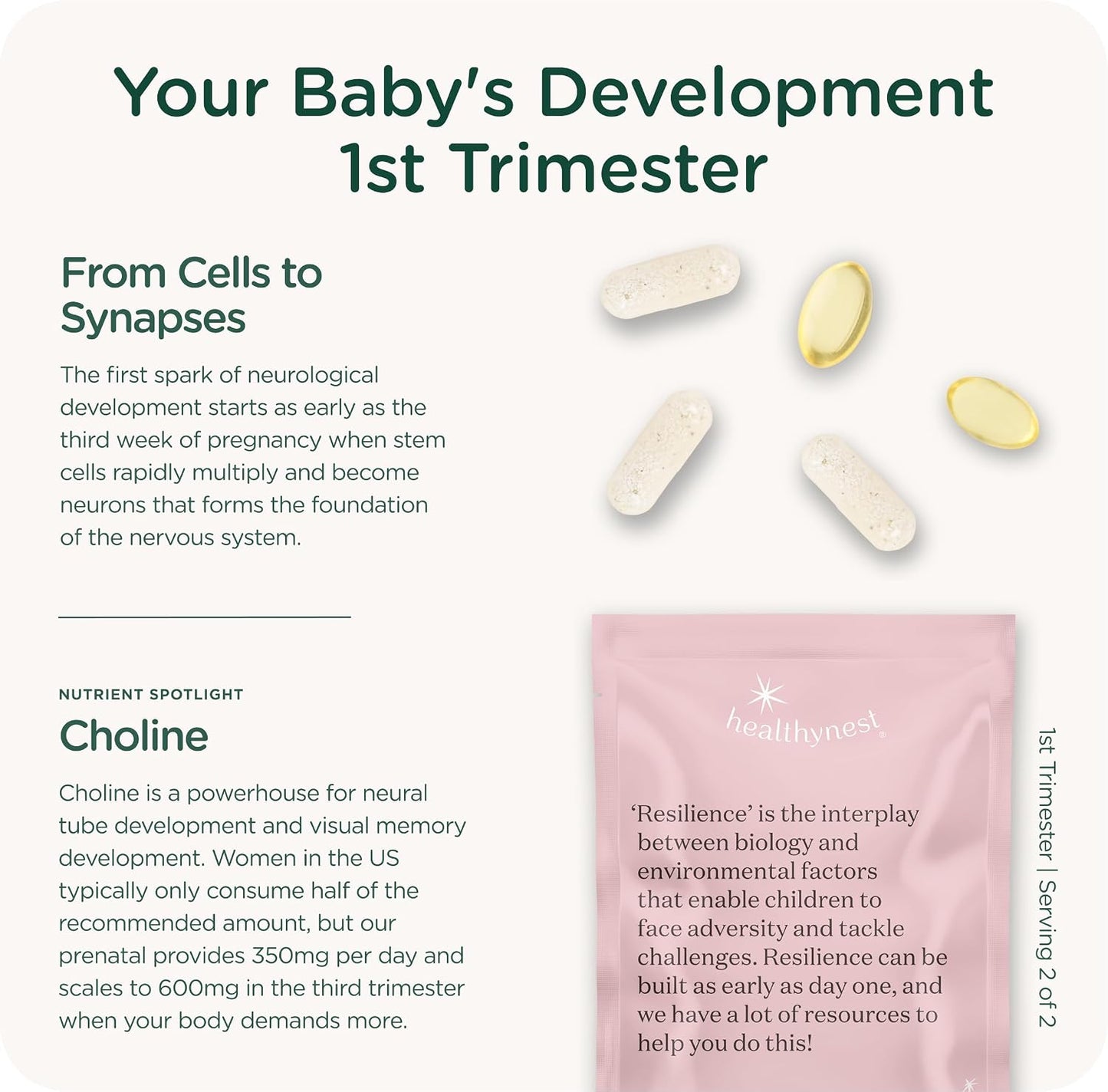 HealthyNest Preconception and First Trimester Prenatal Vitamin - görsel 7