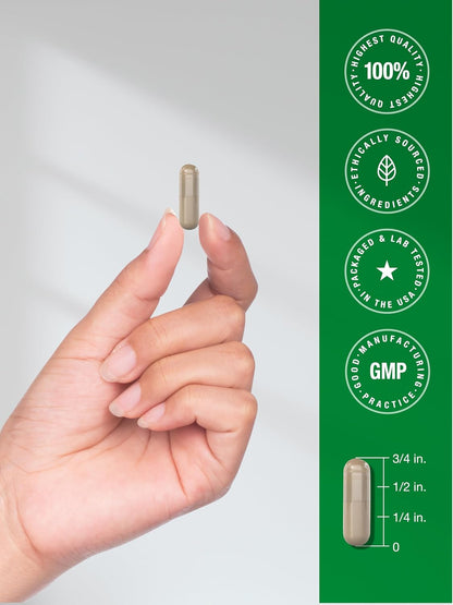 Horbäach Rhodiola Rosea Capsules | 180 Capsules | Non-GMO, Gluten-Free Supplement
