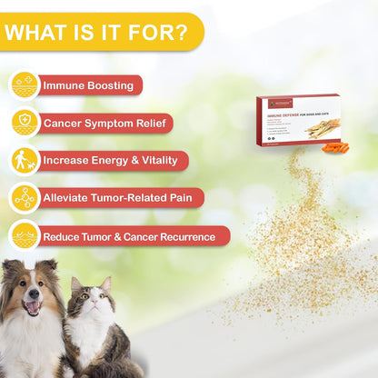 Immune Defence Supplement for Dogs & Cats – Natural Immune Support