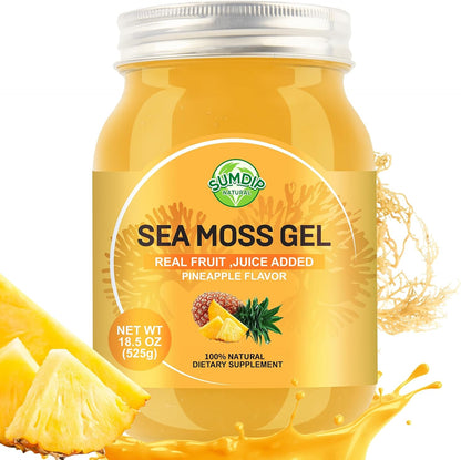 SumDIP Sea Moss Gel, Blueberry, 525g - Raw Irish Seamoss for Immune & Digestive Support