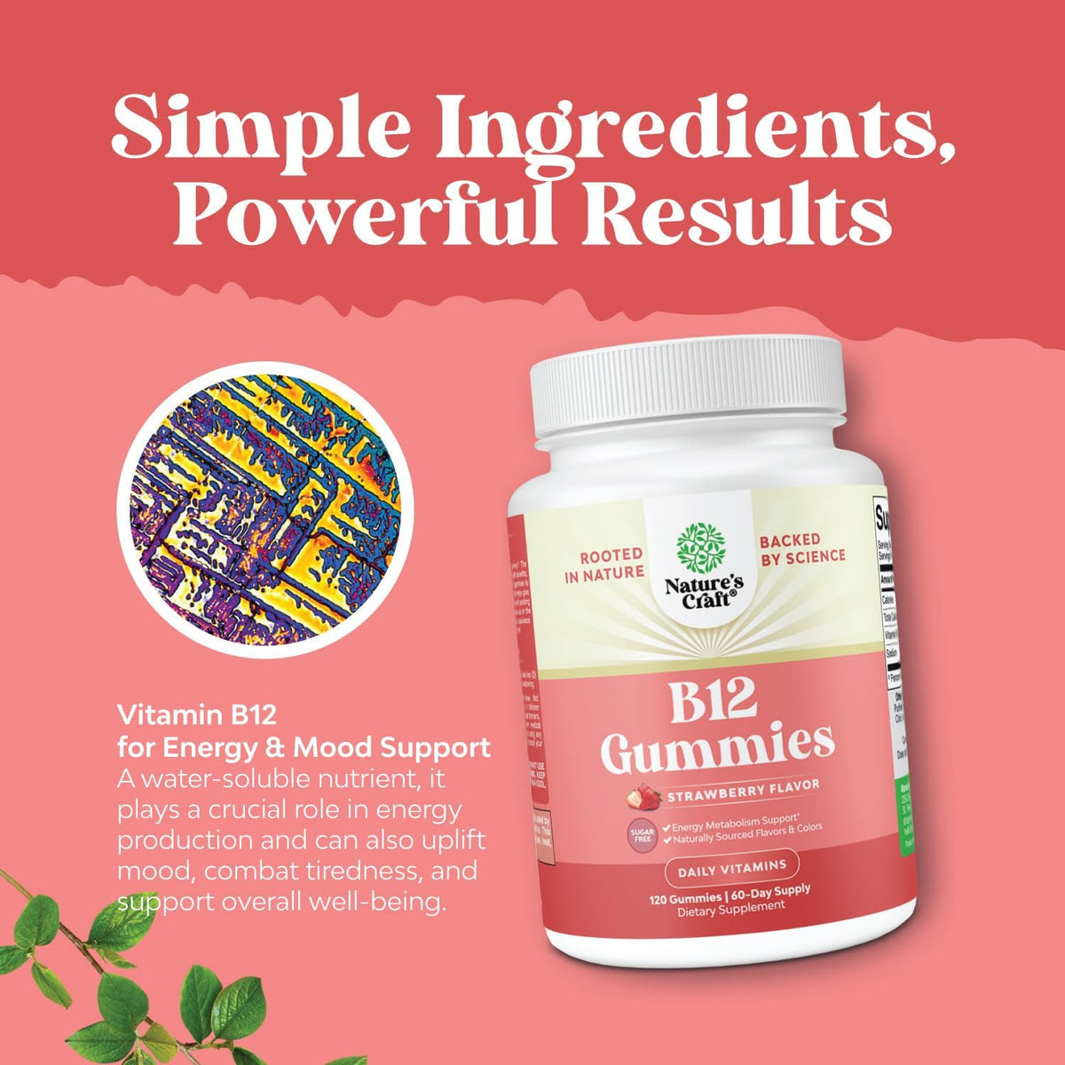 Natures Craft Vitamin B12 Gummies - Sugar Free, 1000 µg, 120 Count - görsel 3