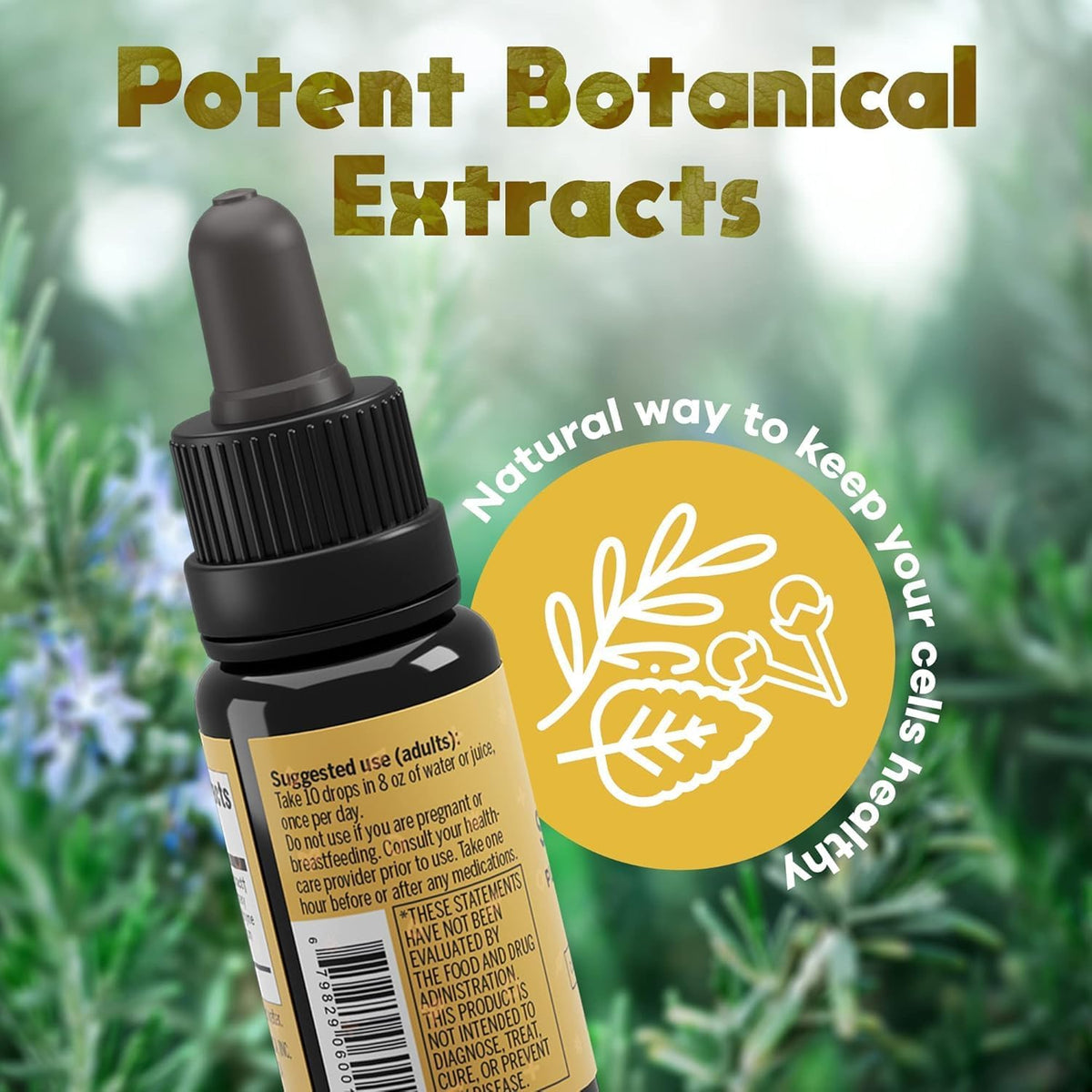 Activation Solaris Essential Oil Blend - 15 ml | Thyme, Peppermint, Rosemary & Clove - görsel 6