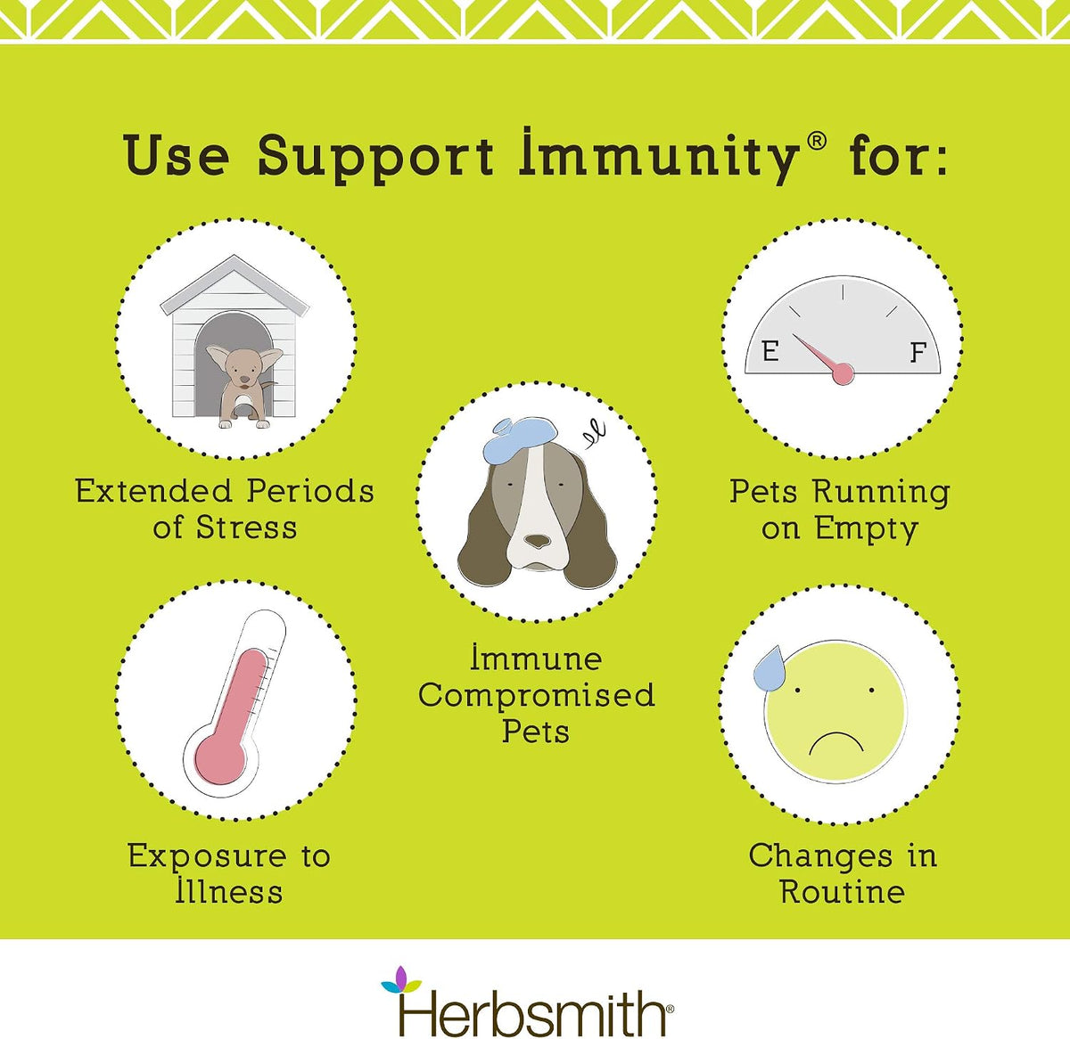 Herbsmith Immune Support for Dogs - 75g Powder - görsel 6