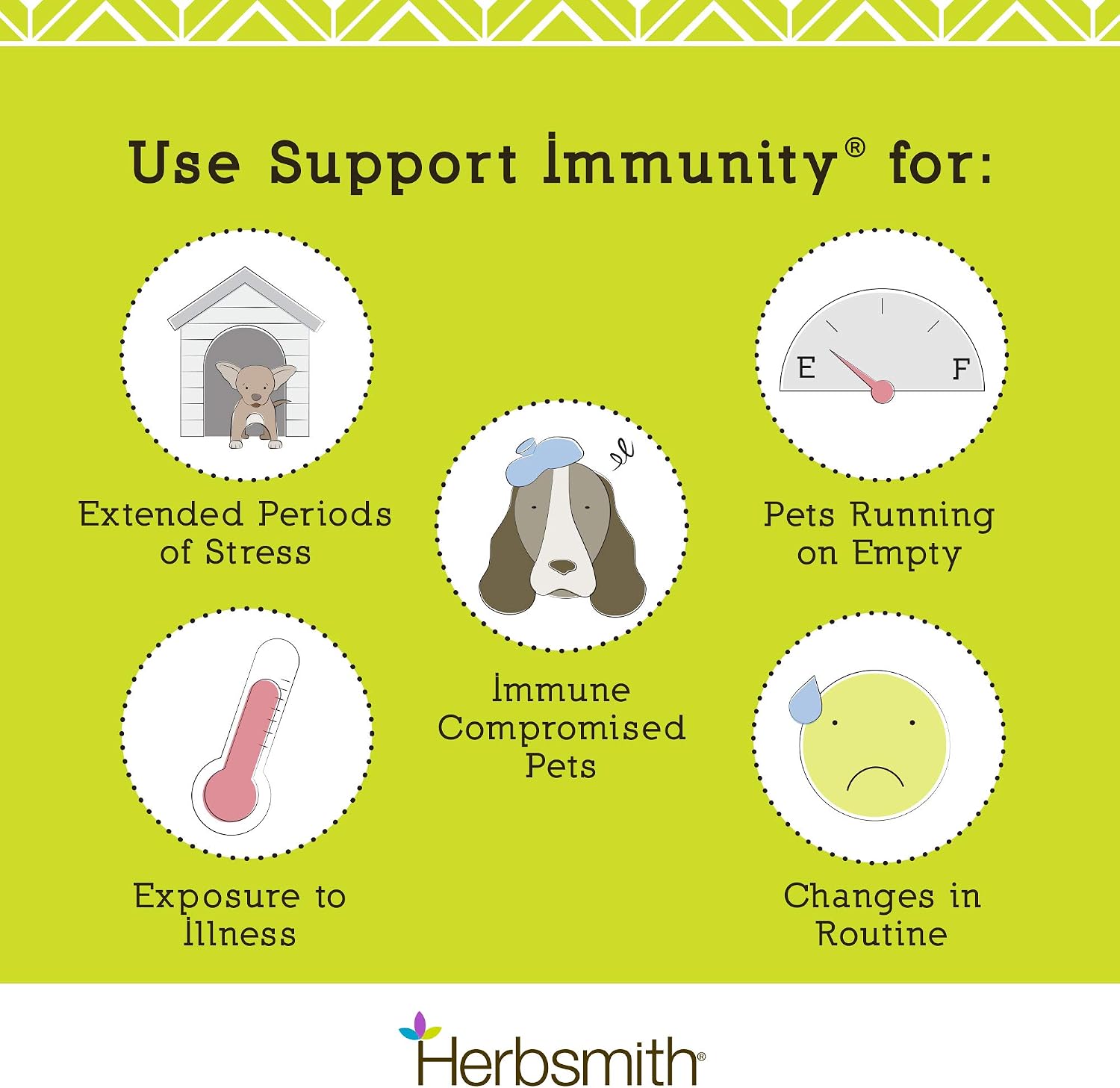 Herbsmith Immune Support for Dogs - 75g Powder - görsel 6