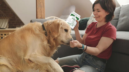 Probiotics for Dogs – 5-Strain 2 Billion CFU + Digestive Enzymes & Prebiotics, Chicken Flavour, 120 Tablets