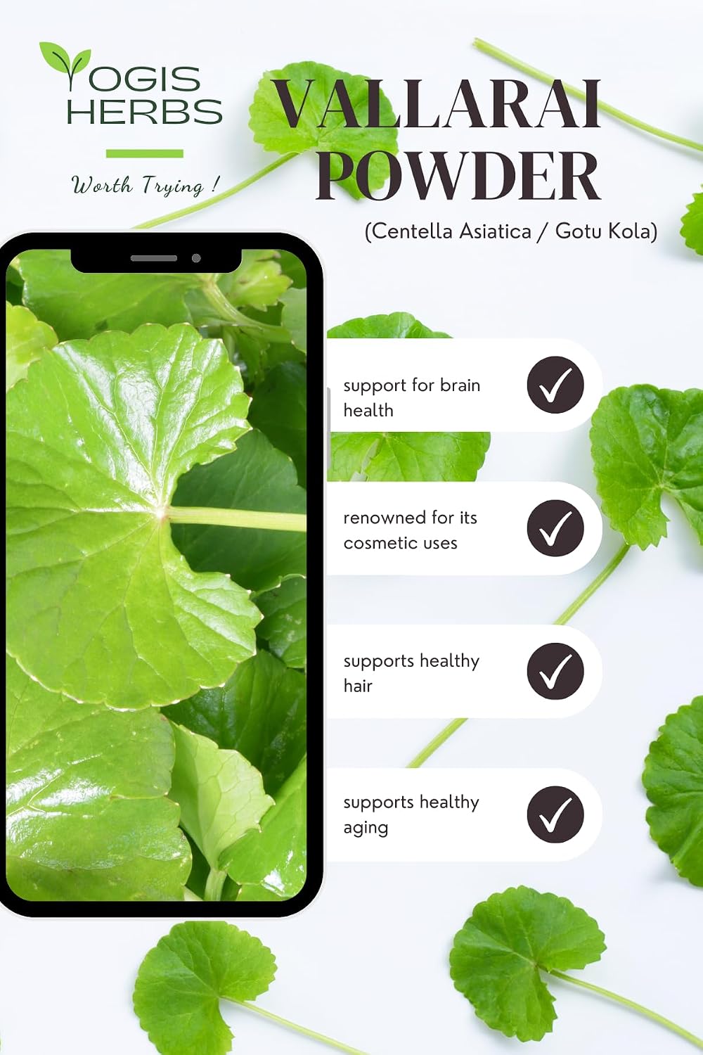 Vallarai Powder, Centella Asiatica (Gotu Kola/Mandukaparni) — Traditional Ayurvedic Herb for Cognitive Wellbeing & Mental Clarity — Pure Whole-Leaf Powder, Single-Ingredient - görsel 8