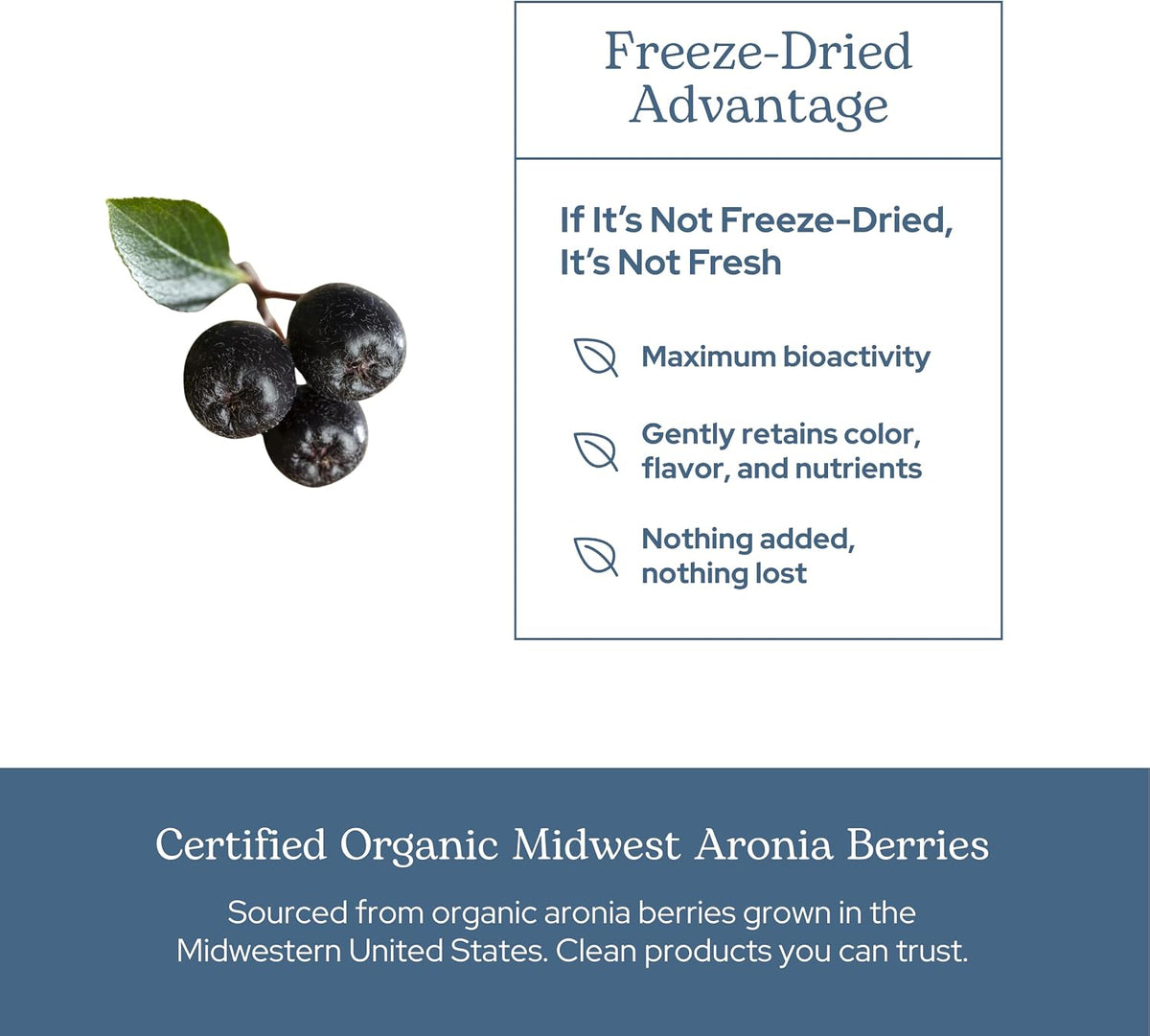 Eclectic Institute Raw Freeze-Dried Organic Aronia Berry Capsules - 90 Capsules (450 mg Each) - görsel 5