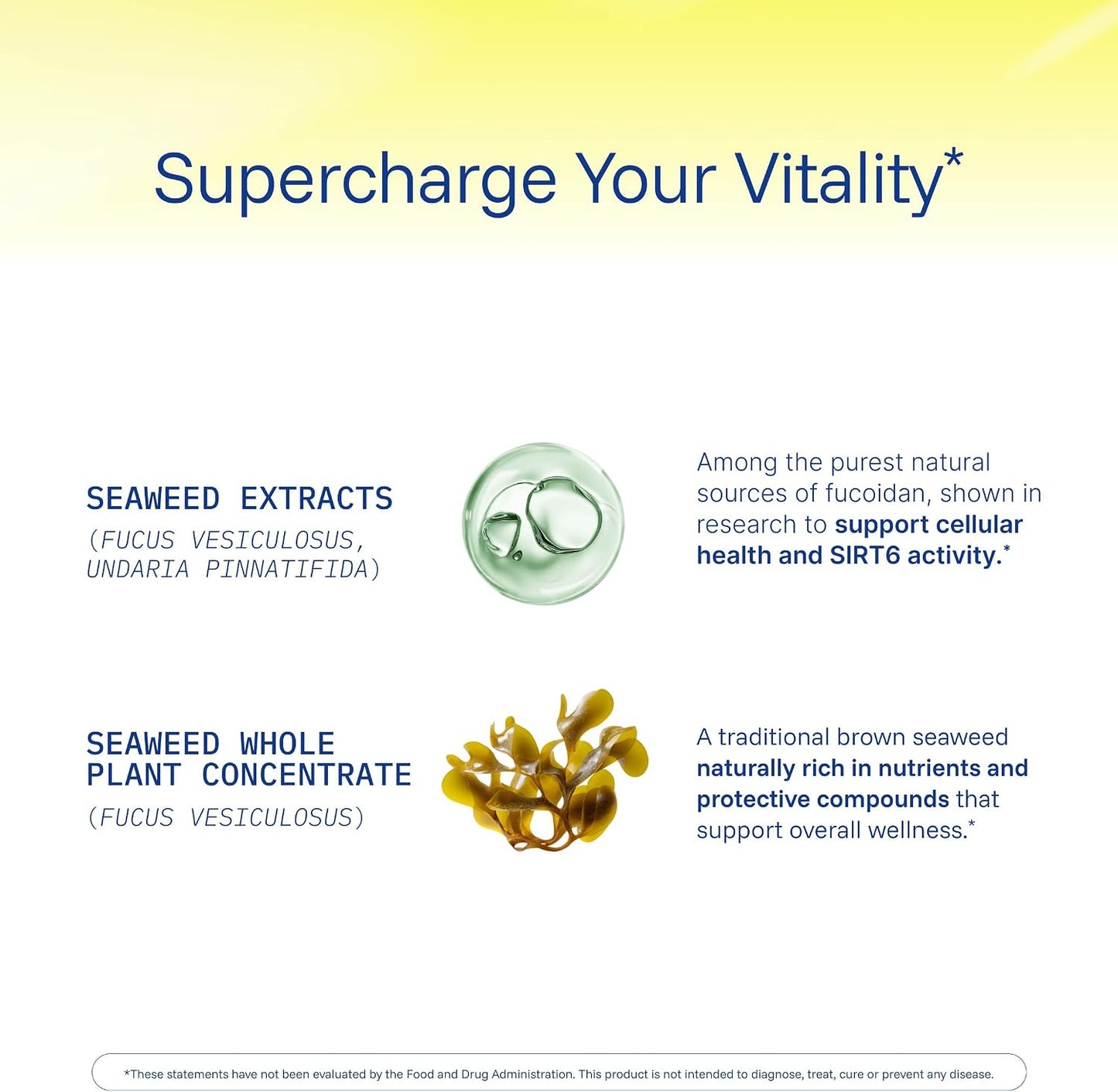 ProHealth Sirtuin 6 Activator - 60 Capsules - Fucoidan-Rich Seaweed Extract for Longevity & DNA Support - görsel 5