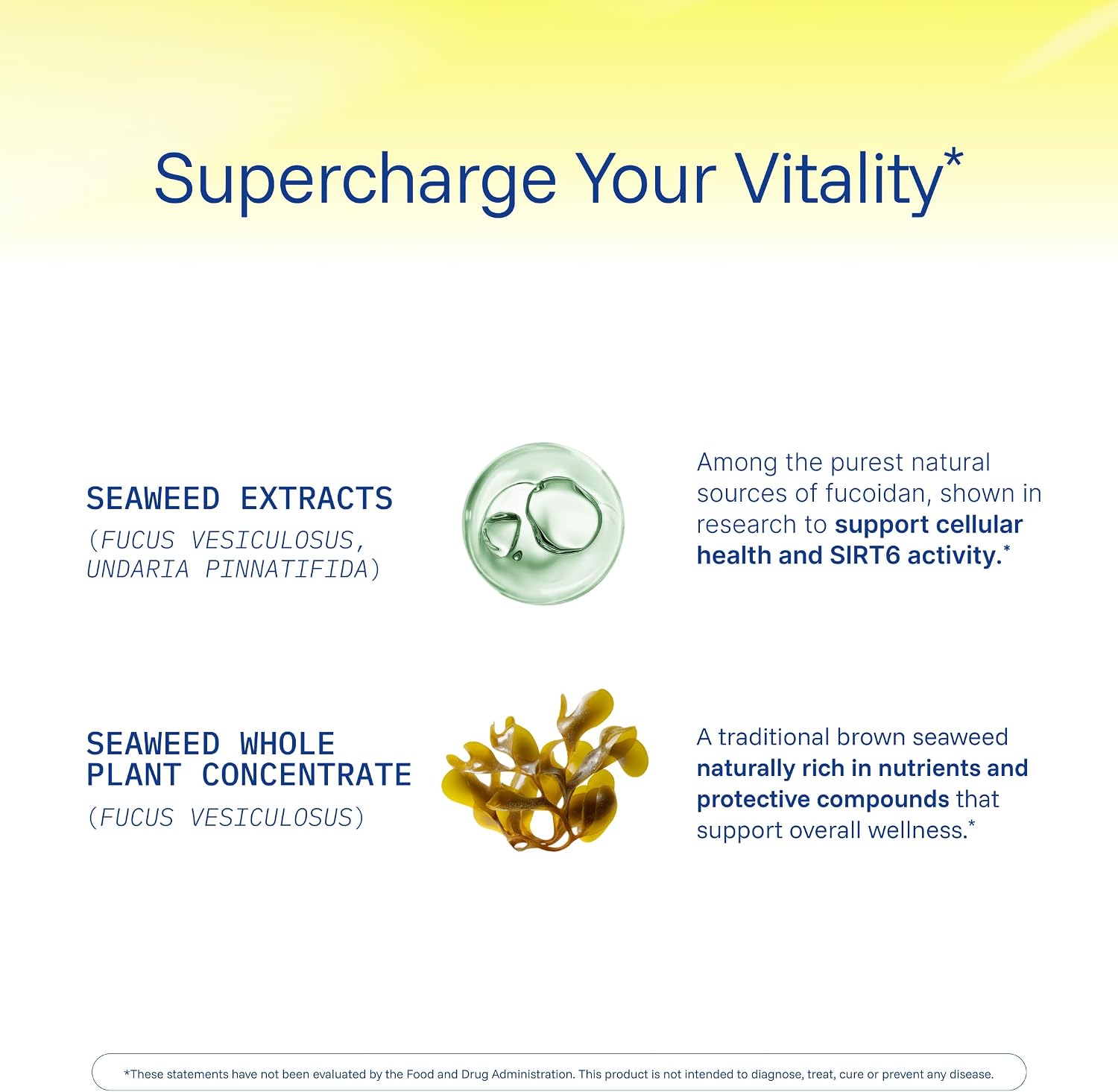 ProHealth Sirtuin 6 Activator - 60 Capsules - Fucoidan-Rich Seaweed Extract for Longevity & DNA Support - görsel 5