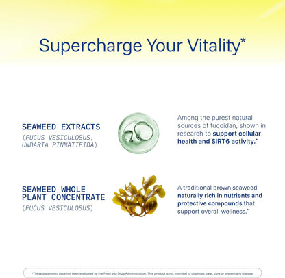 ProHealth Sirtuin 6 Activator - 60 Capsules - Fucoidan-Rich Seaweed Extract for Longevity & DNA Support