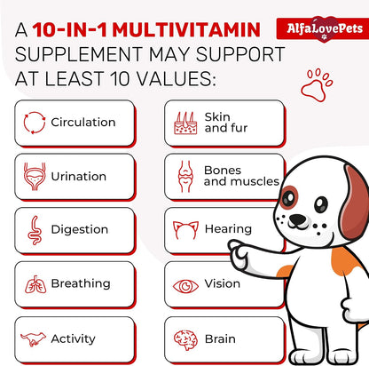 Liquid Multivitamin for Dogs – Cat Multivitamins for Indoor Cats – 10-in-1 Liquid Dog Vitamins B Complex, C, D3 – Digestion, Urinary, Hip & Joint, Skin & Coat – Cranberry Flavour – 60 ml