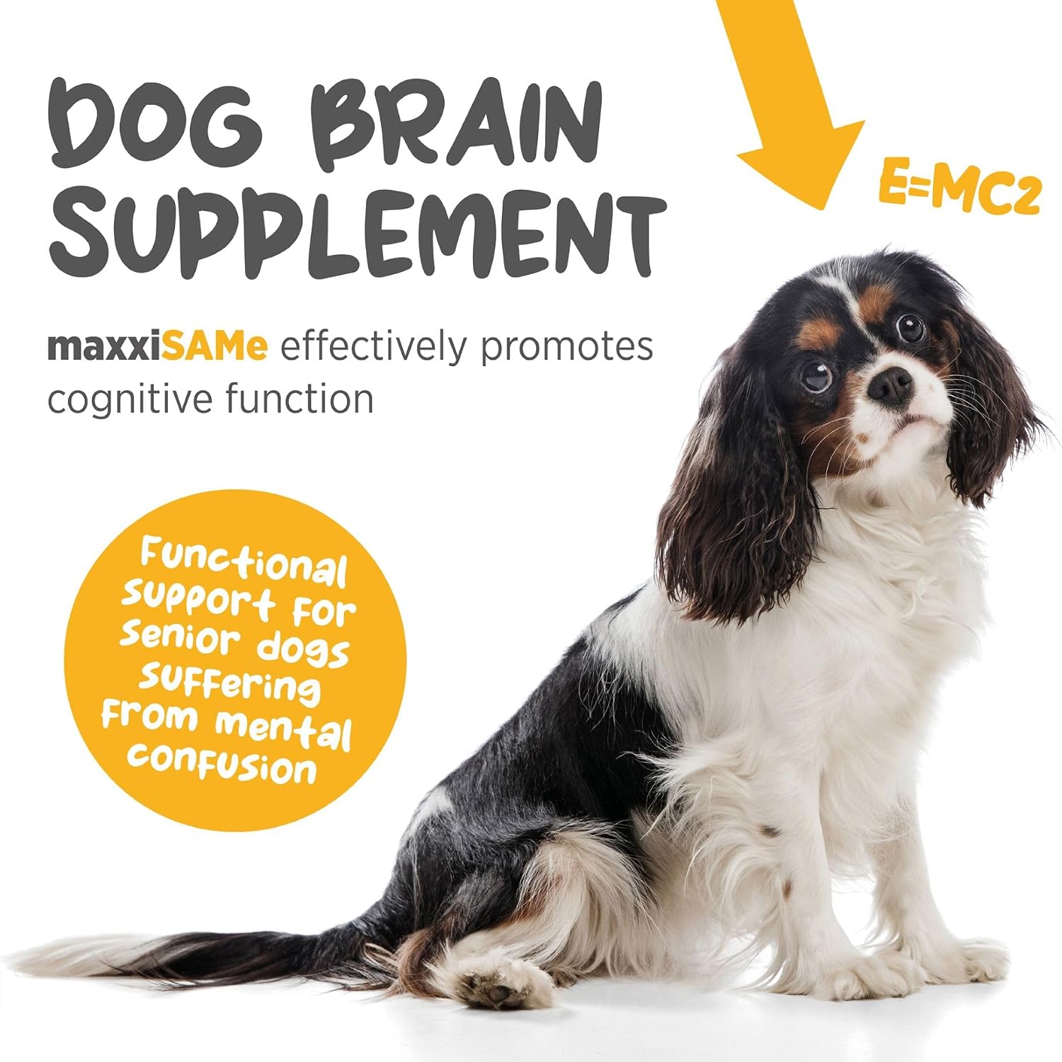 maxxiSAMe Advanced SAM-e Powder Supplement - Liver, Cognitive & Joint Support for Dogs, 150g - görsel 3
