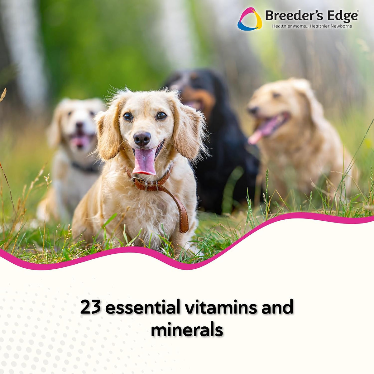 Breeder's Edge In Between for Her - Daily Multivitamin for Breeding Dogs and Cats (360 Chewable Tablets) - görsel 2