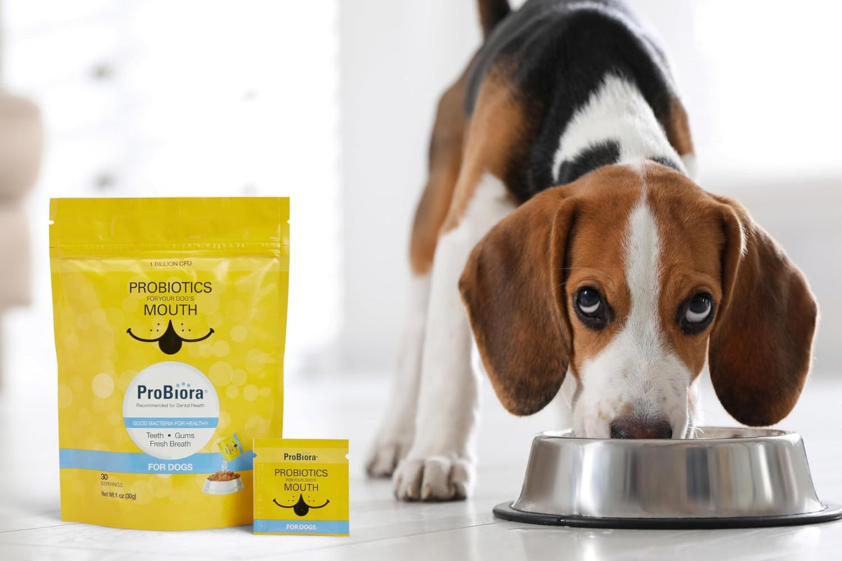 ProBiora for Dogs – Dog Probiotic Supplement for Oral Care, 30 Servings - görsel 3