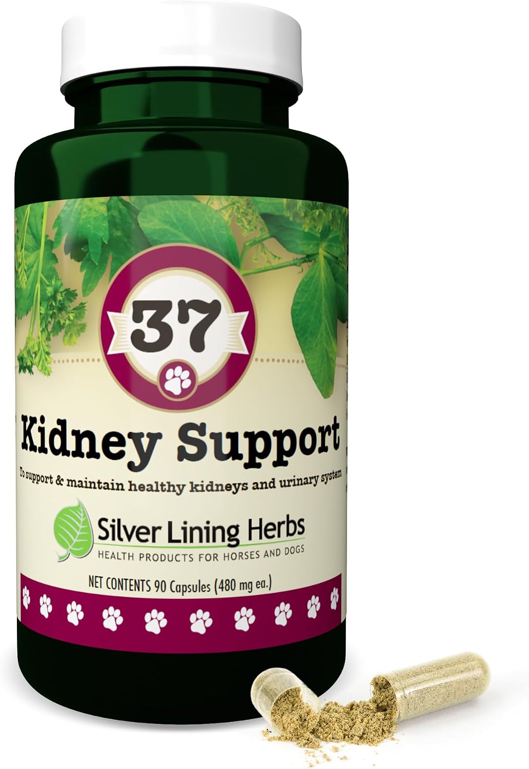Kidney Support for Dogs – Natural Herbal Canine Kidney Cleanse & Bladder Support Supplement with Cranberry & Astragalus – 90 Capsules - görsel 1