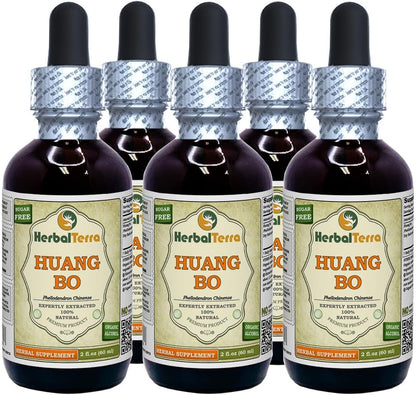 Huang Bo (Phellodendron Chinense) Tincture - Dried Bark Liquid Extract 60 ml