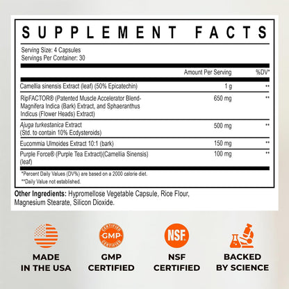 Enhanced Labs Muscle Pro - 5-in-1 Premium Muscle Builder for Men - Epicatechin, Turkesterone, RipFACTOR® & Purple Force® - Advanced Muscle Support: Strength, Lean Mass & Free Testosterone - 120 Capsules