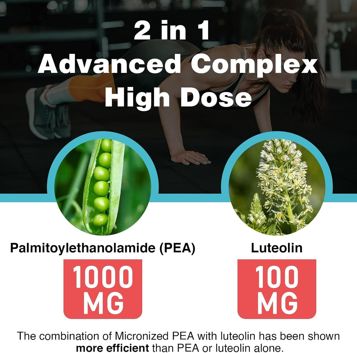 Liposomal Palmitoylethanolamide 1000 mg + Luteolin 100 mg – 60 Soft gel capsules - görsel 4
