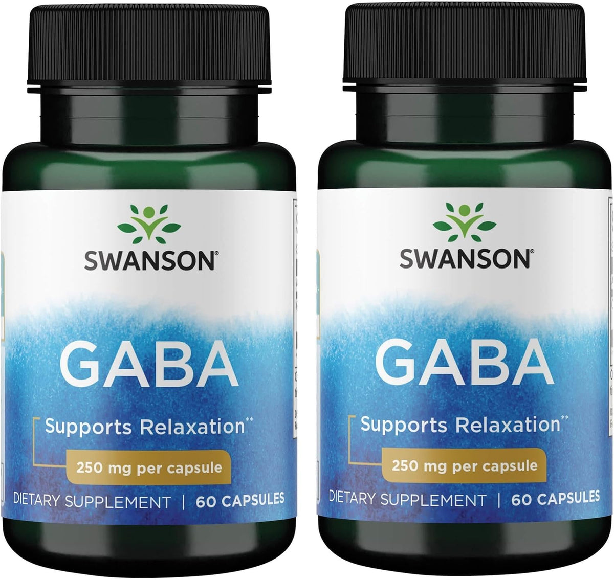 Swanson GABA 250 mg, 60 Capsules (Pack of 2) - görsel 1