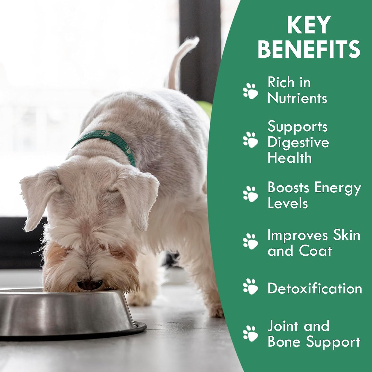 Holistic Bin Canine Super Greens Plant-Based Dog Food Topper | Nutrient-Rich Supplement Powder | Gut Balance, Joint Strength, Digestion, Fresh Breath & Overall Canine Wellness | Greens Powder (50g) - görsel 2
