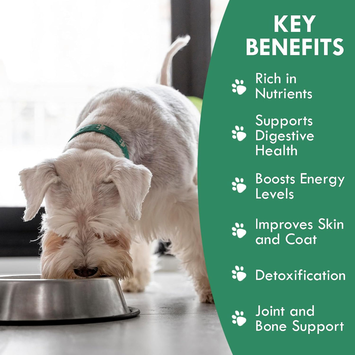 Holistic Bin Canine Super Greens Plant-Based Dog Food Topper | Nutrient-Rich Supplement Powder | Gut Balance, Joint Strength, Digestion, Fresh Breath & Overall Canine Wellness | Greens Powder (50g) - görsel 2