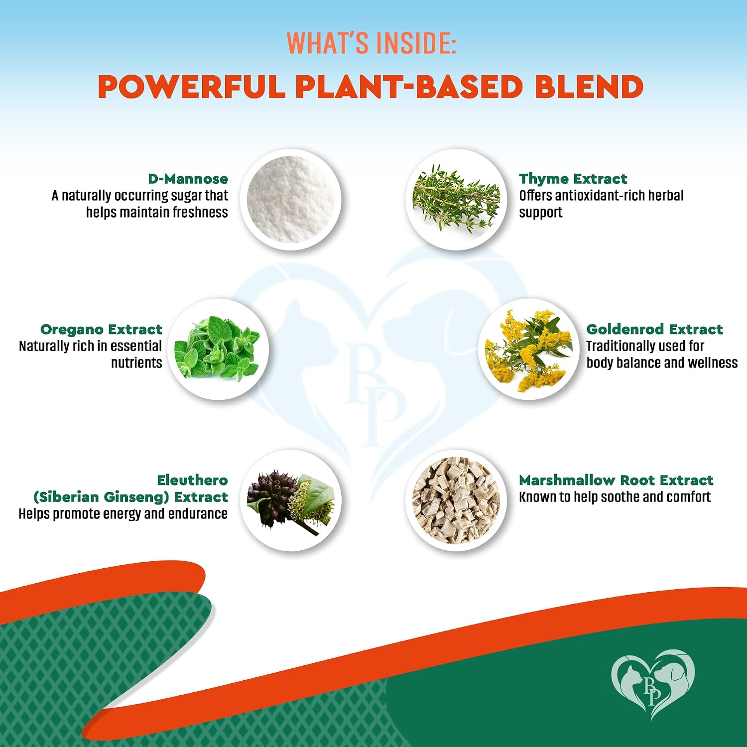 Beloved Pets Natural Herbal Supplement for Dogs and Cats - Supports Urinary, Respiratory, Digestive & Immune Health - görsel 4