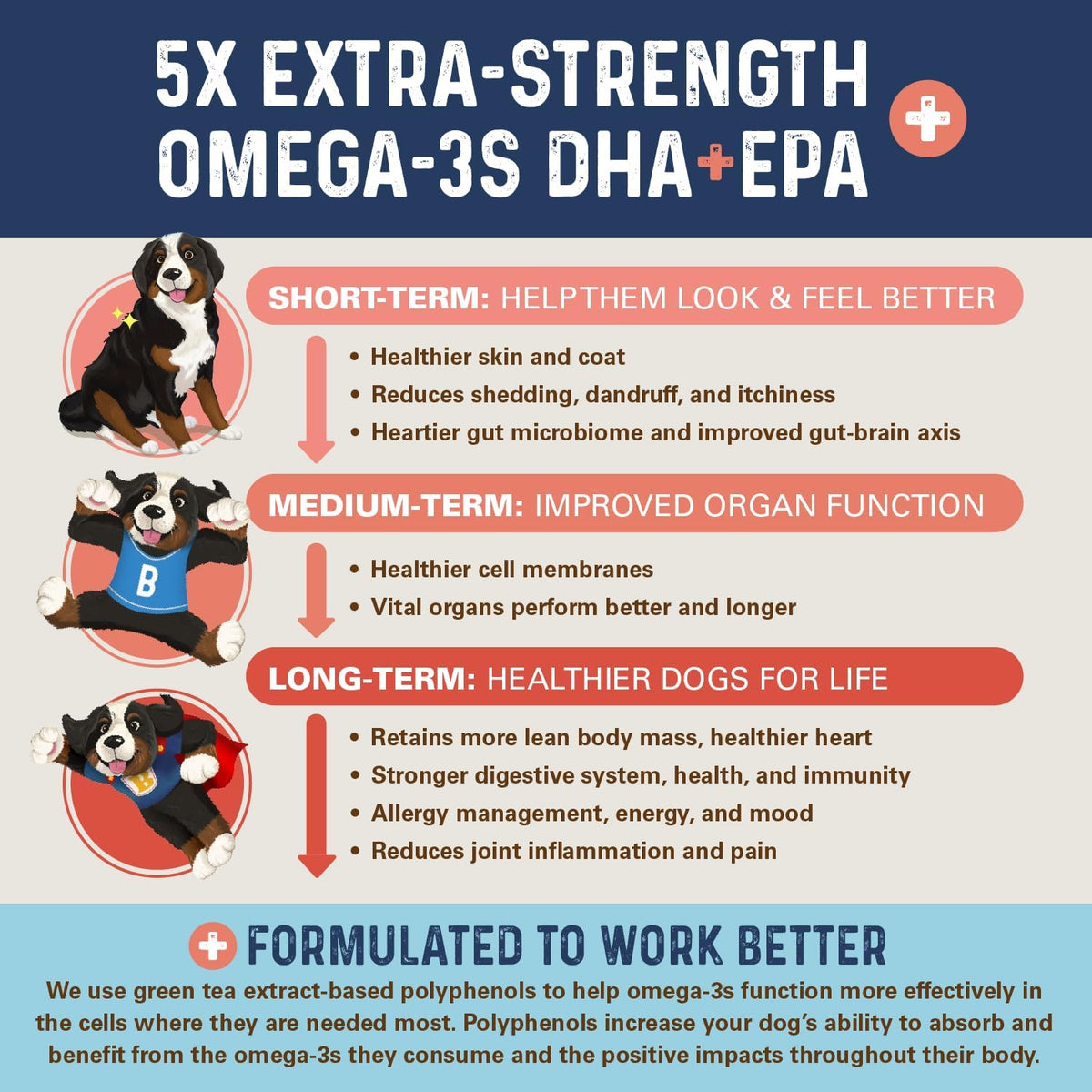 Bernie's OMG! Omegas Chews for Dogs - 5X Extra Strength DHA+EPA Fish Oil, Healthy Skin & Coat, Allergy Relief, Joint Support (Salmon Flavour) - görsel 8
