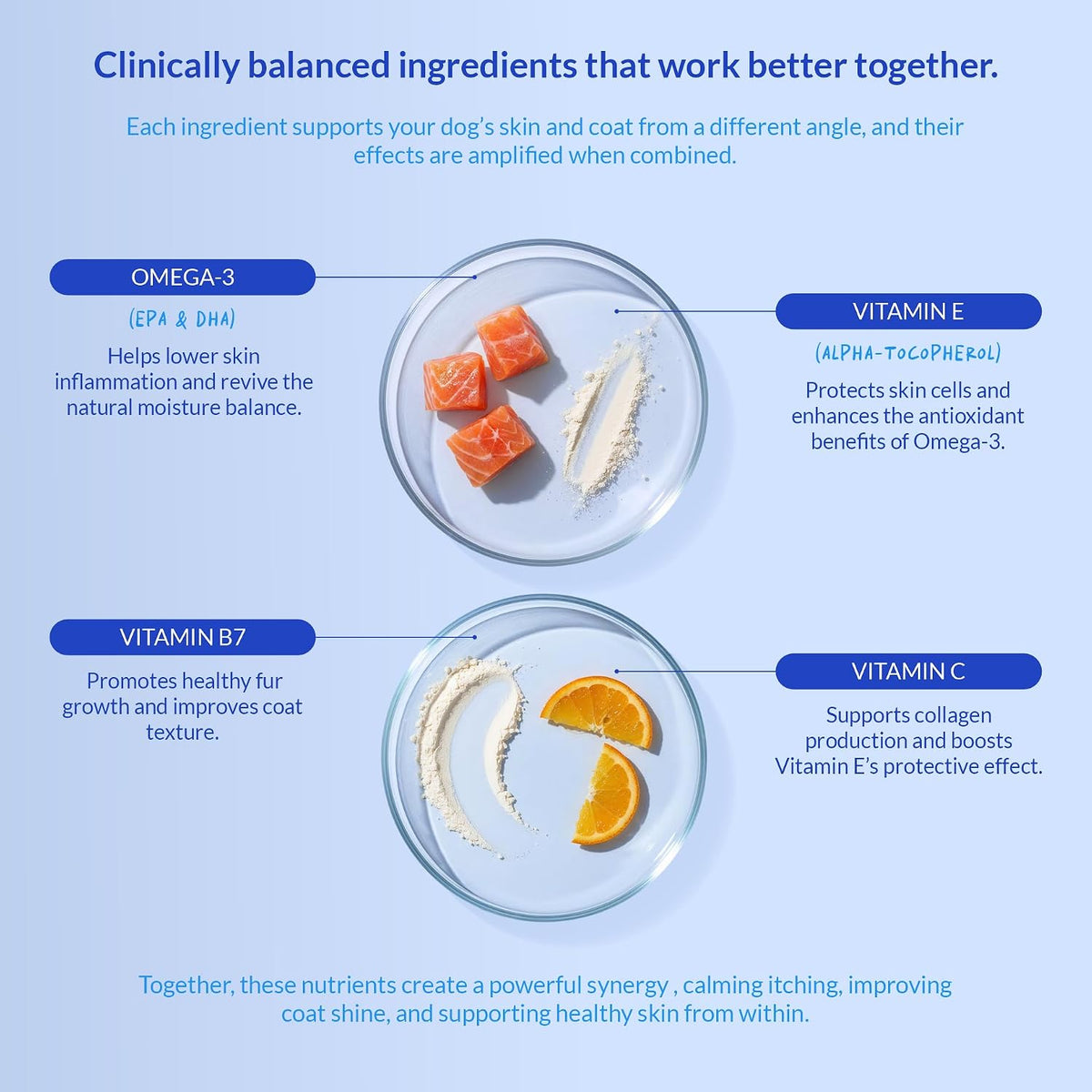 Omega 3 Fish Oil for Dogs - with Omega 3, 6, and 9, Vitamin E for Dog Moulting, Itchy, Dry Skin, Joint & Heart Support (Soft Chews) - görsel 6