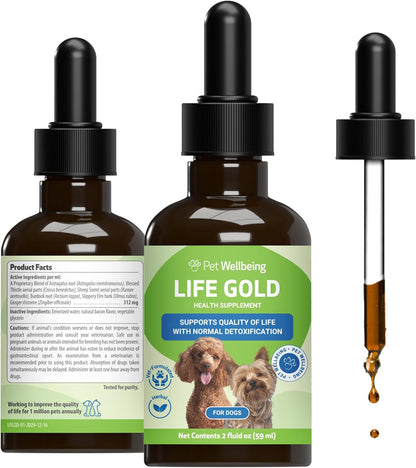 Pet Wellbeing Life Gold for Dogs - Vet-Formulated Herbal Immune Support Supplement (2 oz / 60 ml)