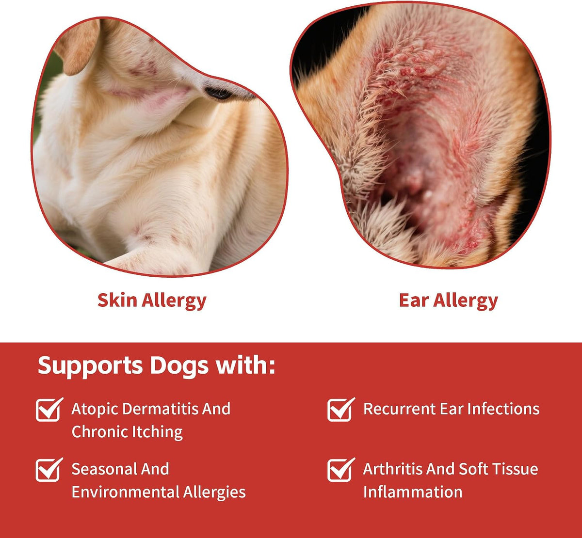 Quercetin & Bromelain Tablets for Dogs – for Skin Allergies, Atopic Dermatitis, Ear Infections & Joint Stiffness – Immune & Anti-Inflammatory Support – Vet-Formulated - görsel 4