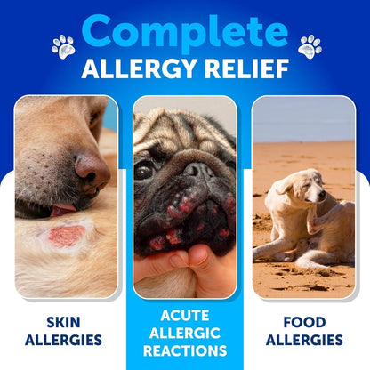 Probiotics for Dogs - Support Gut Health, Itchy Skin, Allergies, Immunity, Yeast Balance - Dog Probiotics and Digestive Enzymes with Prebiotics - 180 Probiotic Chews for Dogs