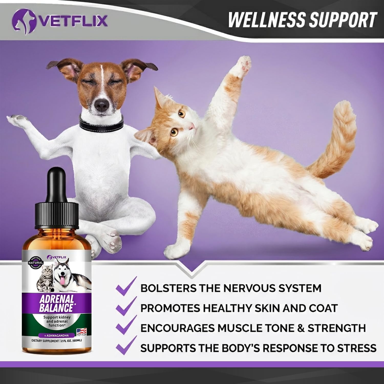 Adrenal Support Liquid Supplement for Dogs, Cats, Puppies and Kittens, 60 ml - görsel 4