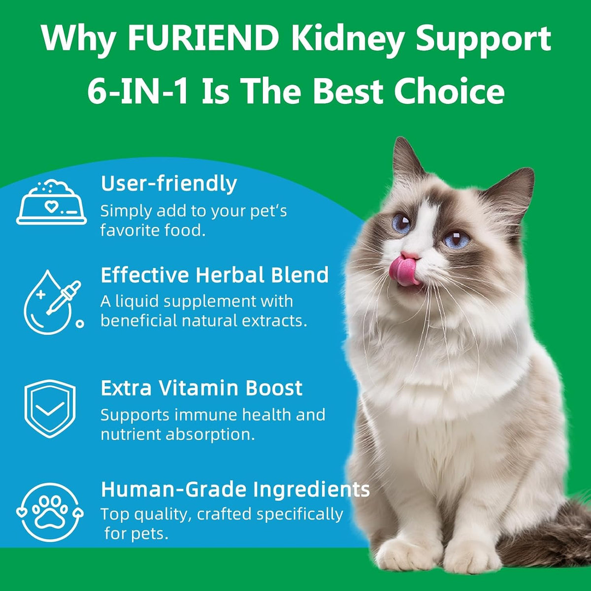 FURIEND Veterinary Formulated Kidney Support for Cats & Dogs - 6-in-1 Liquid with Herbal Blend & Vitamin B Complex - Bacon Flavour - 2 fl oz (59 ml) - görsel 4