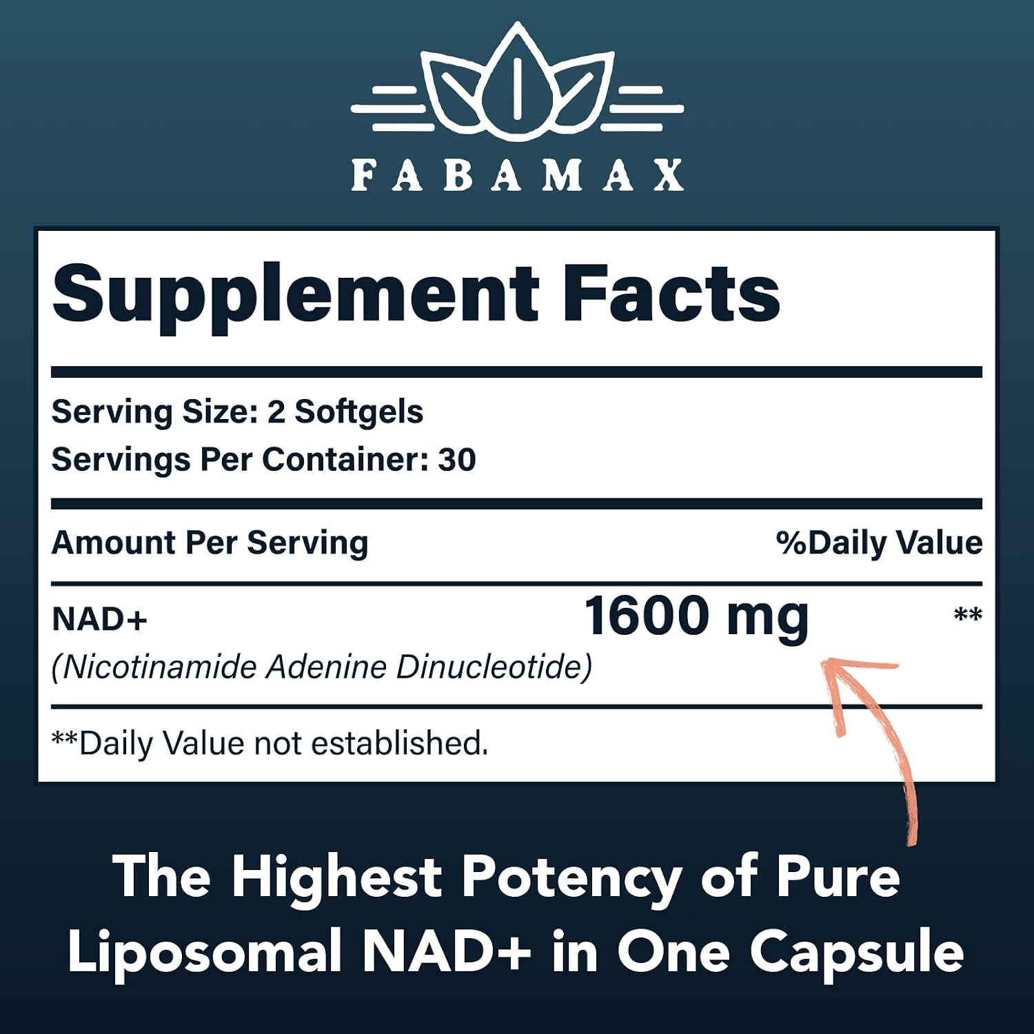 Fabamax 1600 mg Liposomal NAD+ Supplement – 98% Pure NAD+, Superior Absorption, 120 Softgels - görsel 2