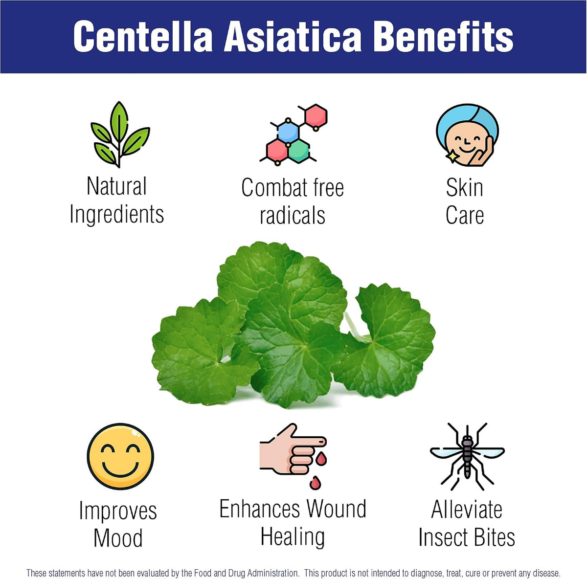 Centella Asiatica 500 mg, 60 Capsules – Gotu Kola Herbal Supplement by Natural Systems - görsel 7