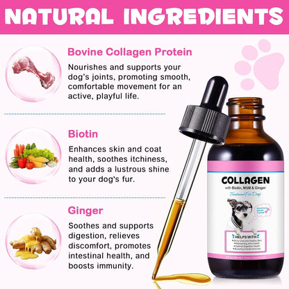 Collagen for Dogs - Liquid Drops with Biotin, MSM and Ginger - 60 ml