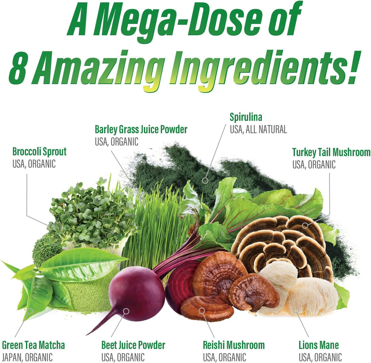 Myogenix MyoVite Super Greens Food Supplement Powder - Organic Super Greens, 30 Servings - görsel 3