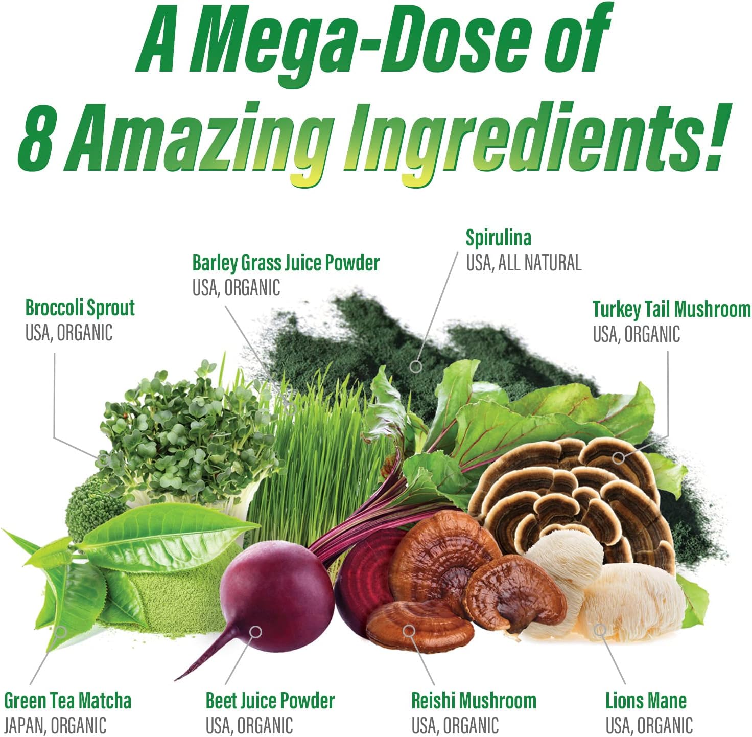 Myogenix MyoVite Super Greens Food Supplement Powder - Organic Super Greens, 30 Servings - görsel 3